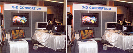 3D Consortium stand